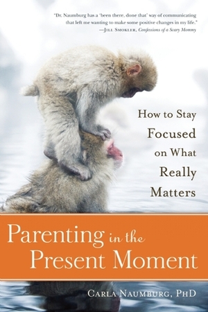 Parenting in the Present Moment: How to Stay Focused on What Really Matters by Carla Naumburg