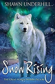 Snow Rising by Shawn Underhill