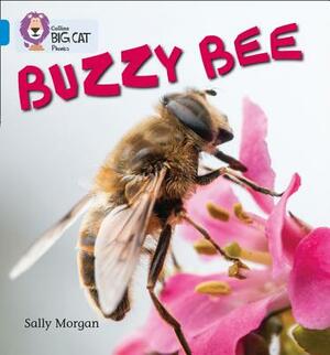 Buzzy Bees by Sally Morgan