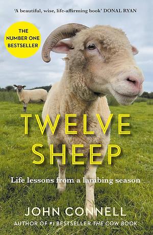 Twelve Sheep: Life lessons from a lambing season by John Connell, John Connell