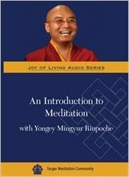 An Introduction to Meditation with Yongey Mingyur Rinpoche (Joy of Living Video Series) by Yongey Mingyur