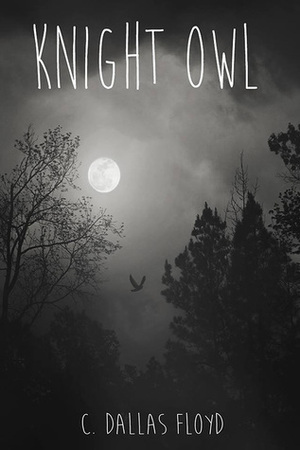 Knight Owl by C. Dallas Floyd