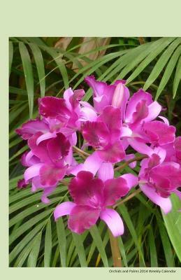 Orchids 2014 Weekly Calender: 2014 weekly calendar with a photo of a cluster of orchids by K. Rose