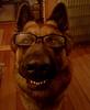 maui_lvr's profile picture