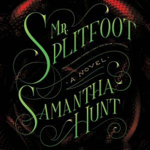 Mr. Splitfoot by Samantha Hunt