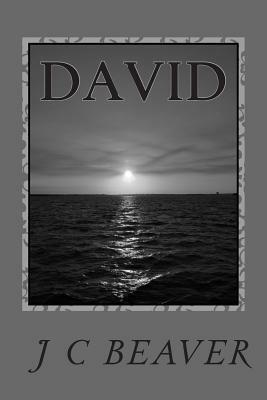 David: Journey Continues by J. C. Beaver