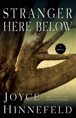 Stranger Here Below by Joyce Hinnefeld