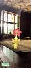 glunko_fink_bingus's profile picture