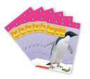 Penguins Through the Year by Robin Bernard, Scholastic, Inc. Staff