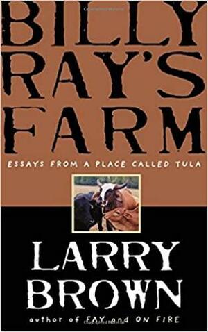 Billy Ray's Farm by Larry Brown