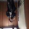 matuskovas's profile picture