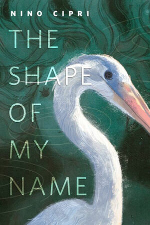 The Shape of My Name by Nino Cipri