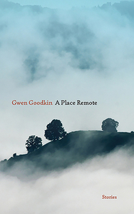 A Place Remote: Stories by Gwen Goodkin