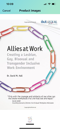 Allies at Work: Creating a Lesbian, Gay, Bisexual and Transgender Inclusive Work Environment by David M. Hall