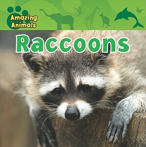 Raccoons by Karen Baicker