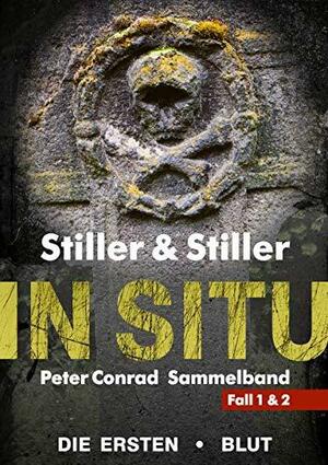 In Situ by Barry Stiller, Dana Stiller