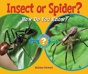 Insect or Spider?: How Do You Know? by Melissa Stewart