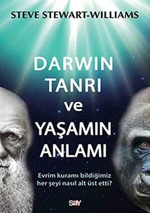 Darwin Tanrı ve Yaşamın Anlamı: Evrim Kuramı Bildiğimiz Her Şeyi Nasıl Alt Üst Etti? by Steve Stewart-Williams