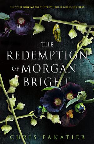 The Redemption of Morgan Bright by Chris Panatier