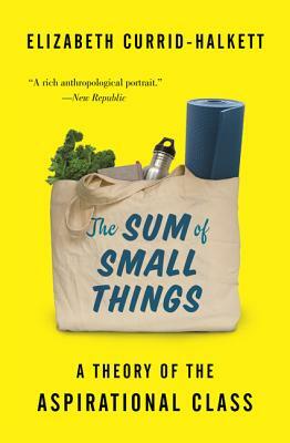 The Sum of Small Things: A Theory of the Aspirational Class by Elizabeth Currid-Halkett