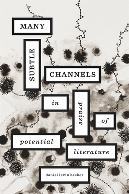 Many Subtle Channels: In Praise of Potential Literature by Daniel Levin Becker, Daniel Levin Becker