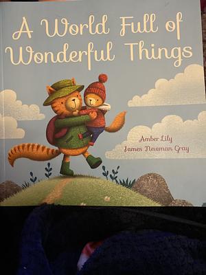 A World Full of Wonderful Things by James Newman Gray, Amber Lily