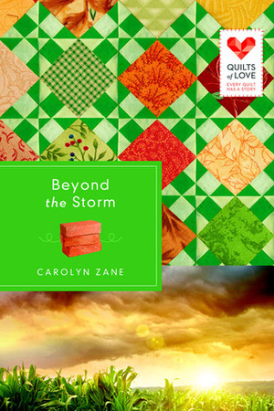 Beyond the Storm by Carolyn Zane