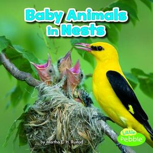 Baby Animals in Nests by Martha E.H. Rustad