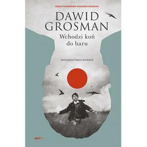 Wchodzi koń do baru by David Grossman