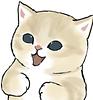 ynbvu's profile picture