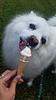 nickiolii's profile picture