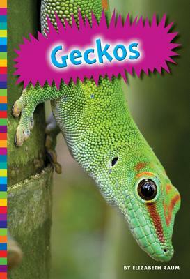 Geckos by Elizabeth Raum