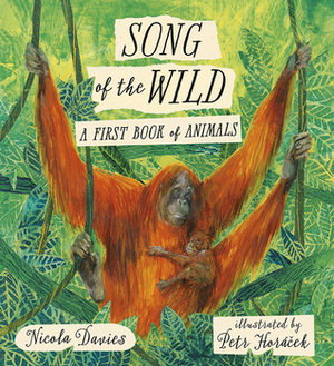 Song of the Wild: A First Book of Animals by Nicola Davies, Petr Horáček