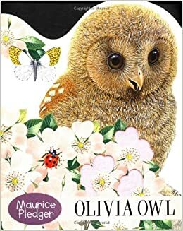 Olivia Owl by Maurice Pledger