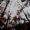 lecxus06's profile picture