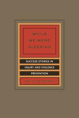 While We Were Sleeping: Success Stories in Injury and Violence Prevention by David Hemenway