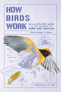 How Birds Work: An Illustrated Guide to the Wonders of Form and Function--From Bones to Beak by Marianne Taylor