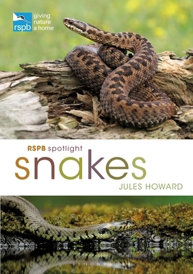 Rspb Spotlight Snakes by Jules Howard