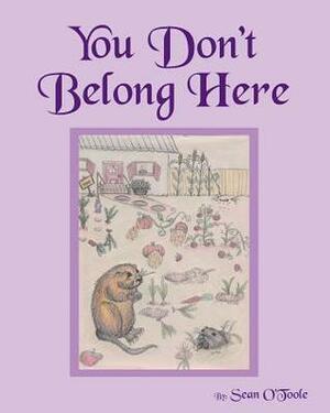 You Don't Belong Here by Sean O'Toole