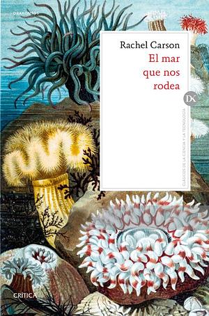 El mar que nos rodea by Rachel Carson