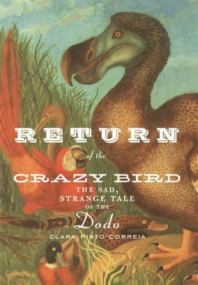 Return of the Crazy Bird: The Sad, Strange Tale of the Dodo by Clara Pinto-Correia