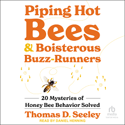 Piping Hot Bees & Boisterous Buzz Runners: 20 Mysteries of Honey Bee Behavior Soled by Thomas D. Seeley