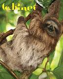 Cabinet Issue 29: Sloth by Sina Najafi