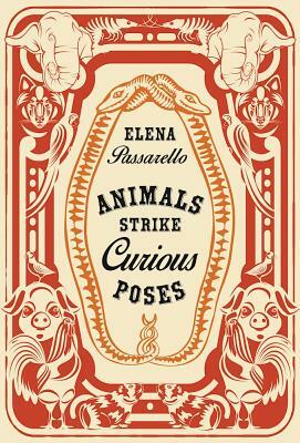 Animals Strike Curious Poses by Elena Passarello