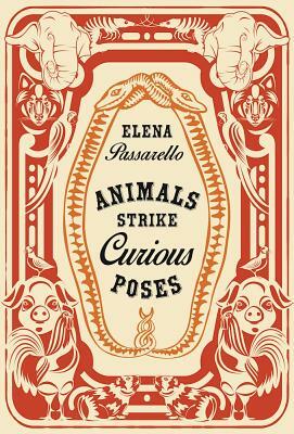 Animals Strike Curious Poses by Elena Passarello