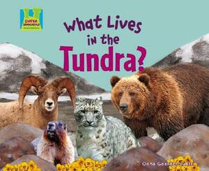 What Lives in the Tundra? by Oona Gaarder-Juntti