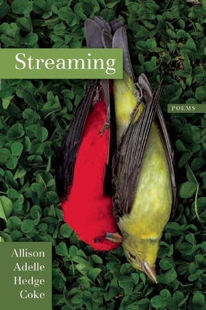 Streaming by Allison Adelle Hedge Coke