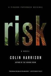 Risk by Colin Harrison