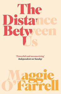 The Distance Between Us by Maggie O'Farrell