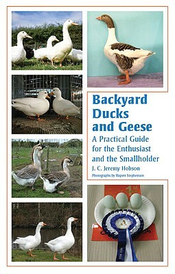 Backyard Ducks and Geese: A Practical Guide for the Enthusiast and the Smallholder by J. C. Jeremy Hobson